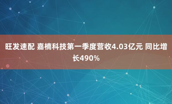 旺发速配 嘉楠科技第一季度营收4.03亿元 同比增长490%