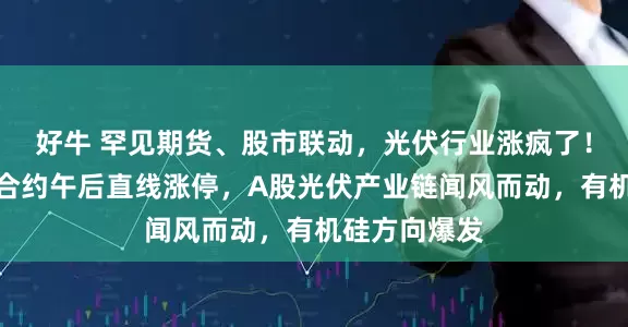 好牛 罕见期货、股市联动，光伏行业涨疯了！多晶硅主力合约午后直线涨停，A股光伏产业链闻风而动，有机硅方向爆发