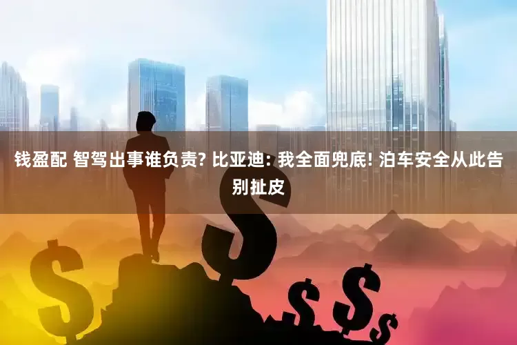 钱盈配 智驾出事谁负责? 比亚迪: 我全面兜底! 泊车安全从此告别扯皮
