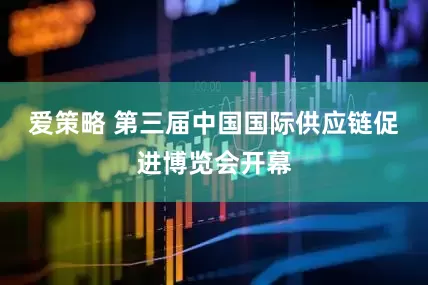 爱策略 第三届中国国际供应链促进博览会开幕