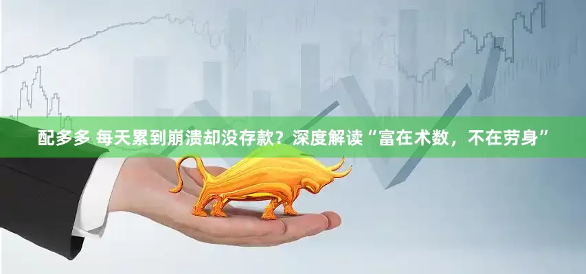 配多多 每天累到崩溃却没存款？深度解读“富在术数，不在劳身”