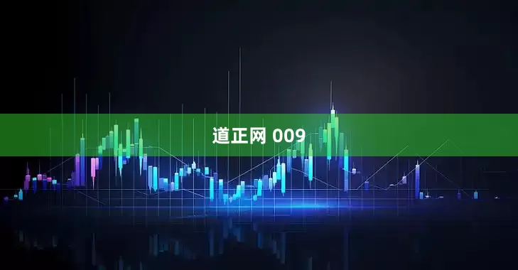 道正网 009