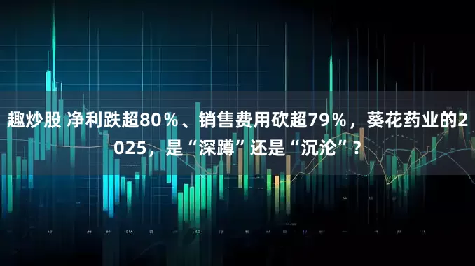趣炒股 净利跌超80％、销售费用砍超79％，葵花药业的2025，是“深蹲”还是“沉沦”？