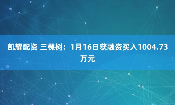 凯耀配资 三棵树：1月16日获融资买入1004.73万元